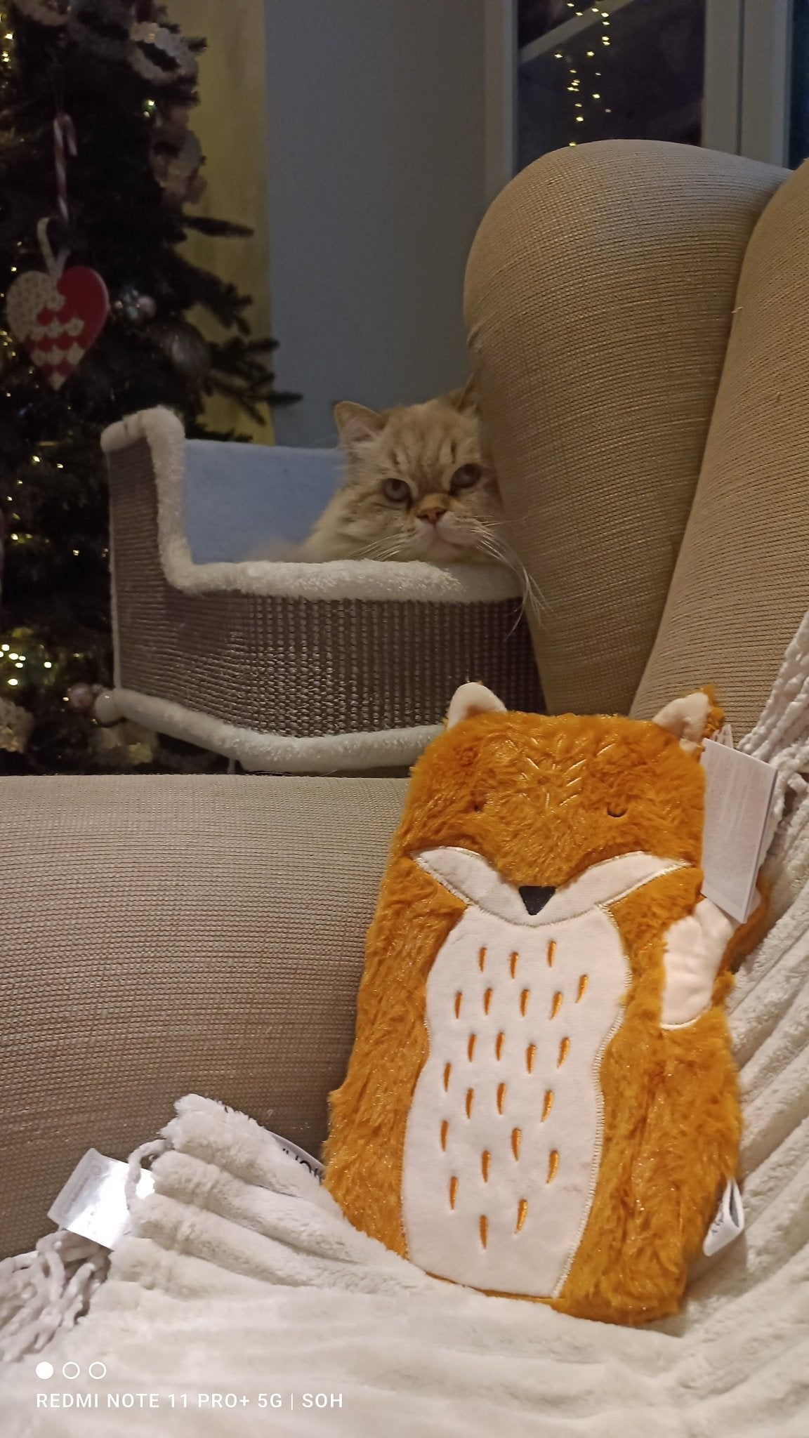 Tierisch gemütliche Wärmflaschen von Sass & Belle - Shades of Home