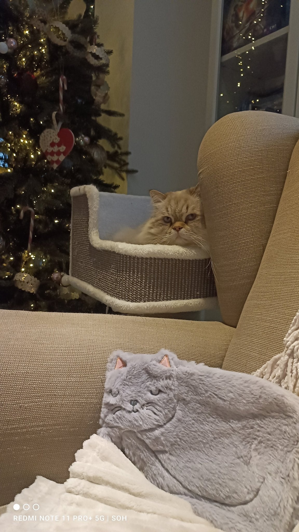 Tierisch gemütliche Wärmflaschen von Sass & Belle - Shades of Home