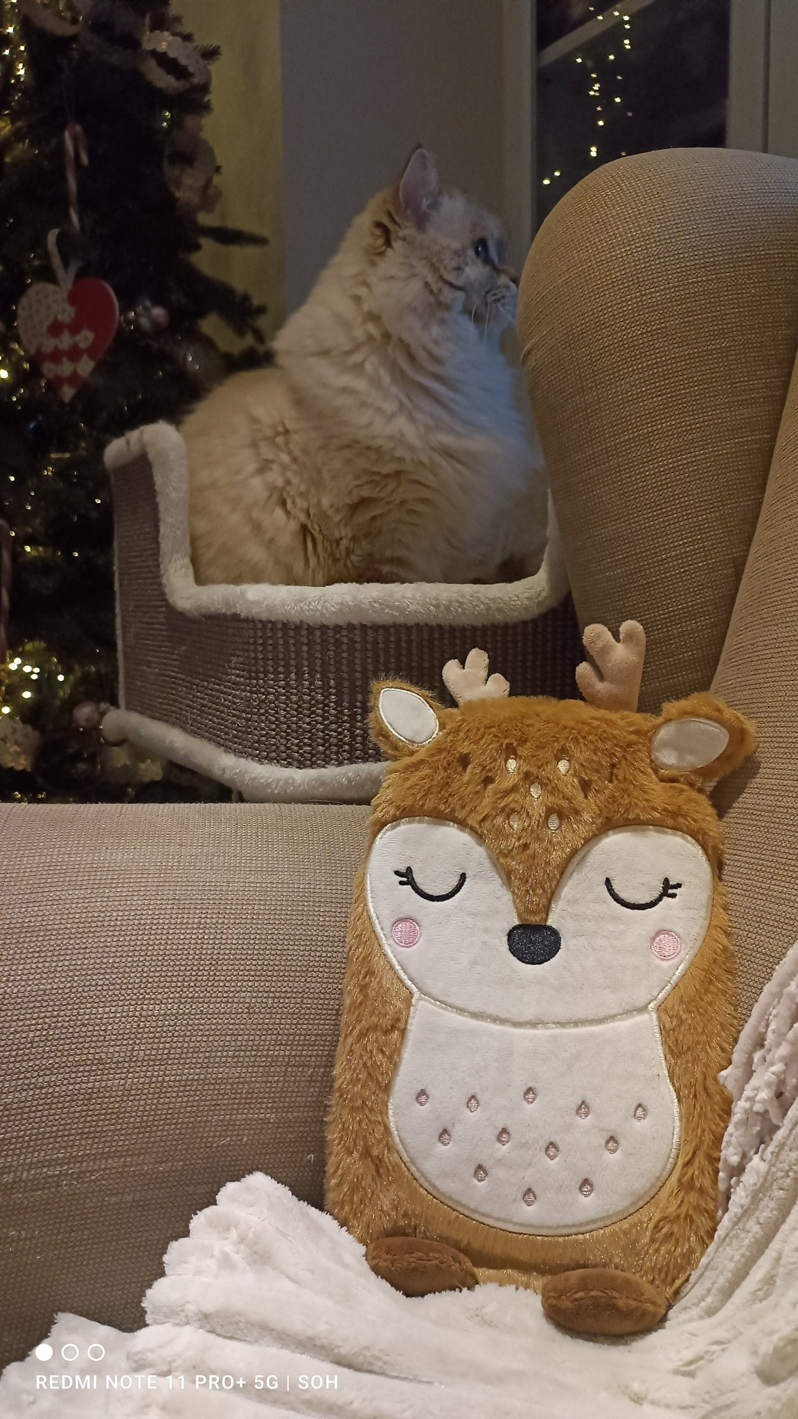 Tierisch gemütliche Wärmflaschen von Sass & Belle - Shades of Home