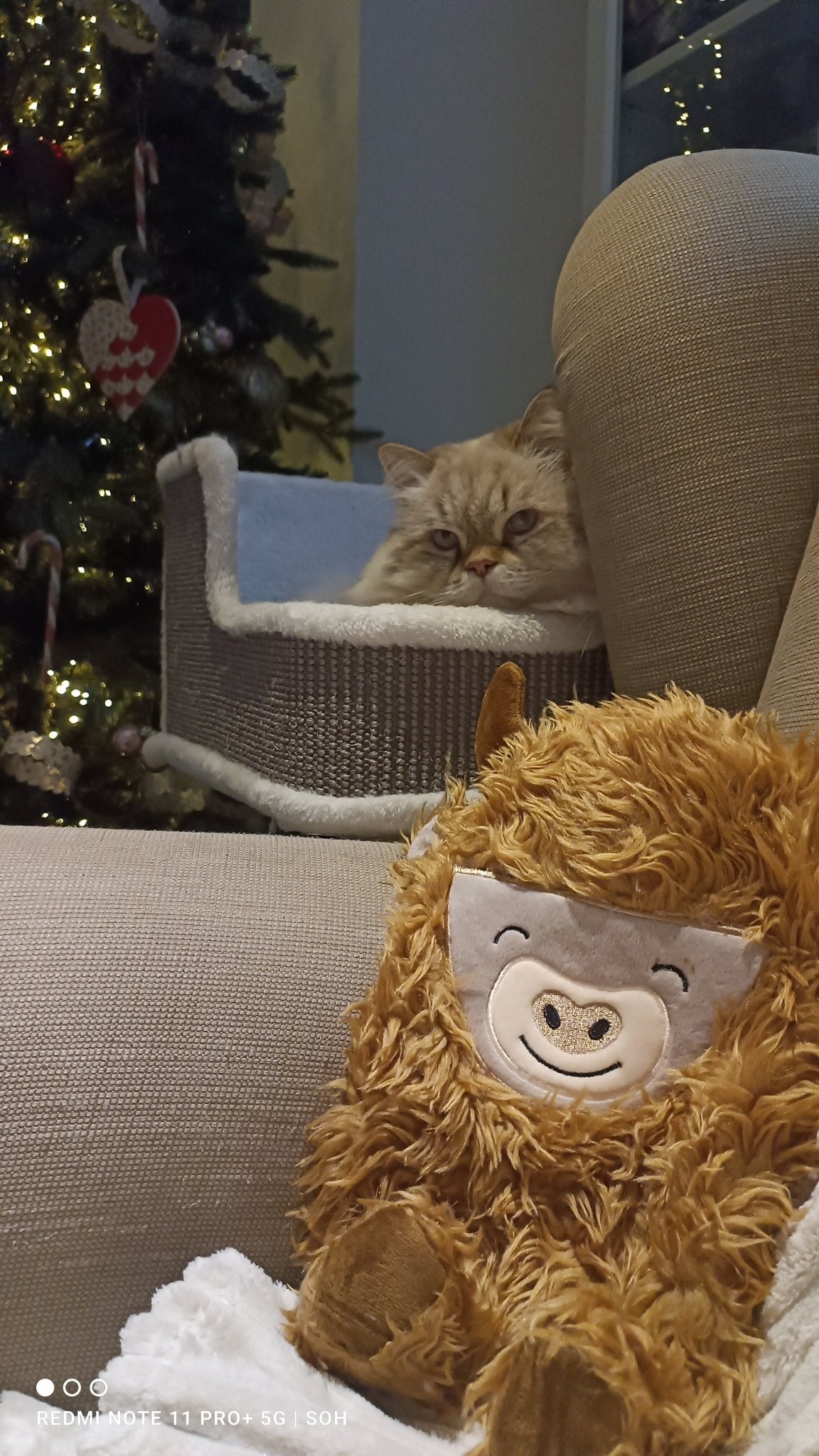 Tierisch gemütliche Wärmflaschen von Sass & Belle - Shades of Home