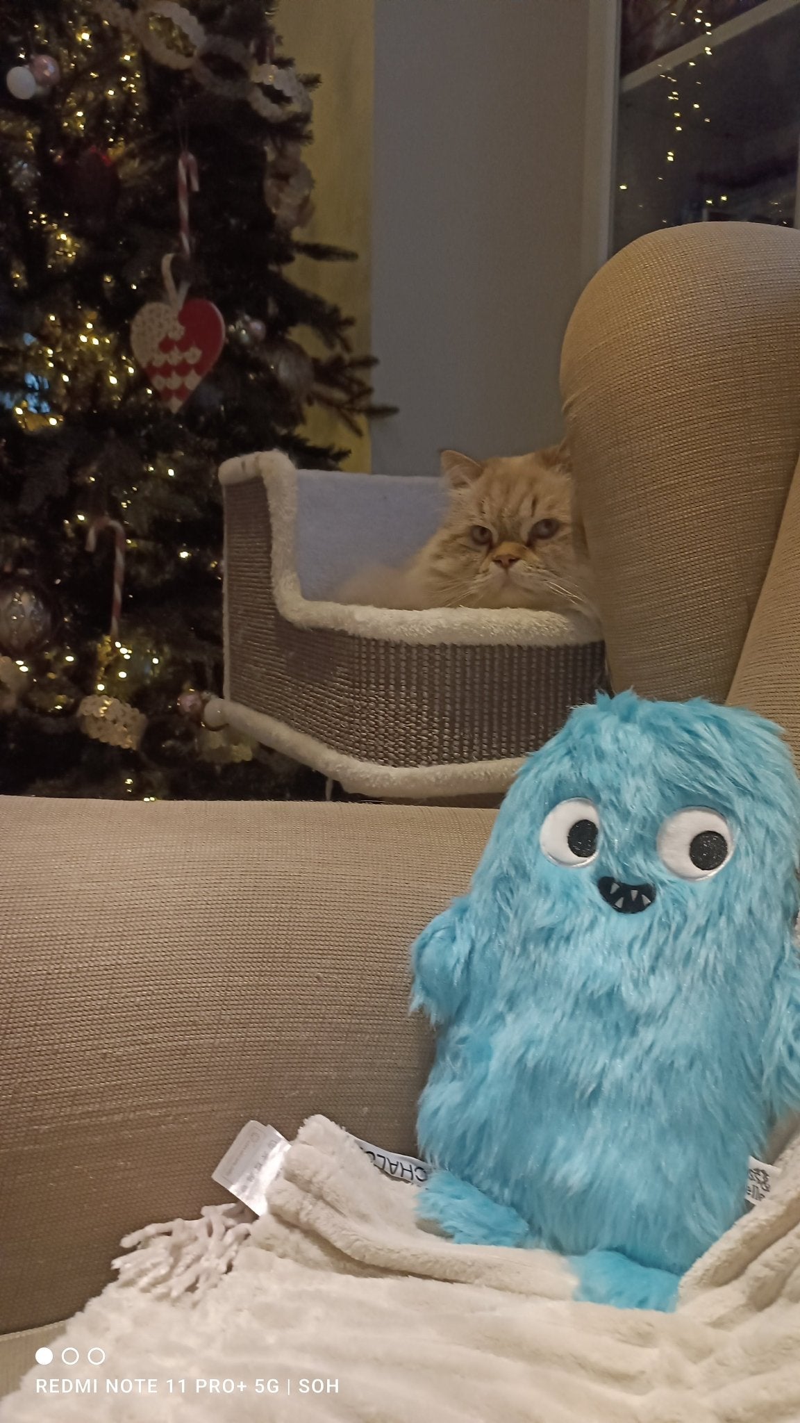 Tierisch gemütliche Wärmflaschen von Sass & Belle - Shades of Home