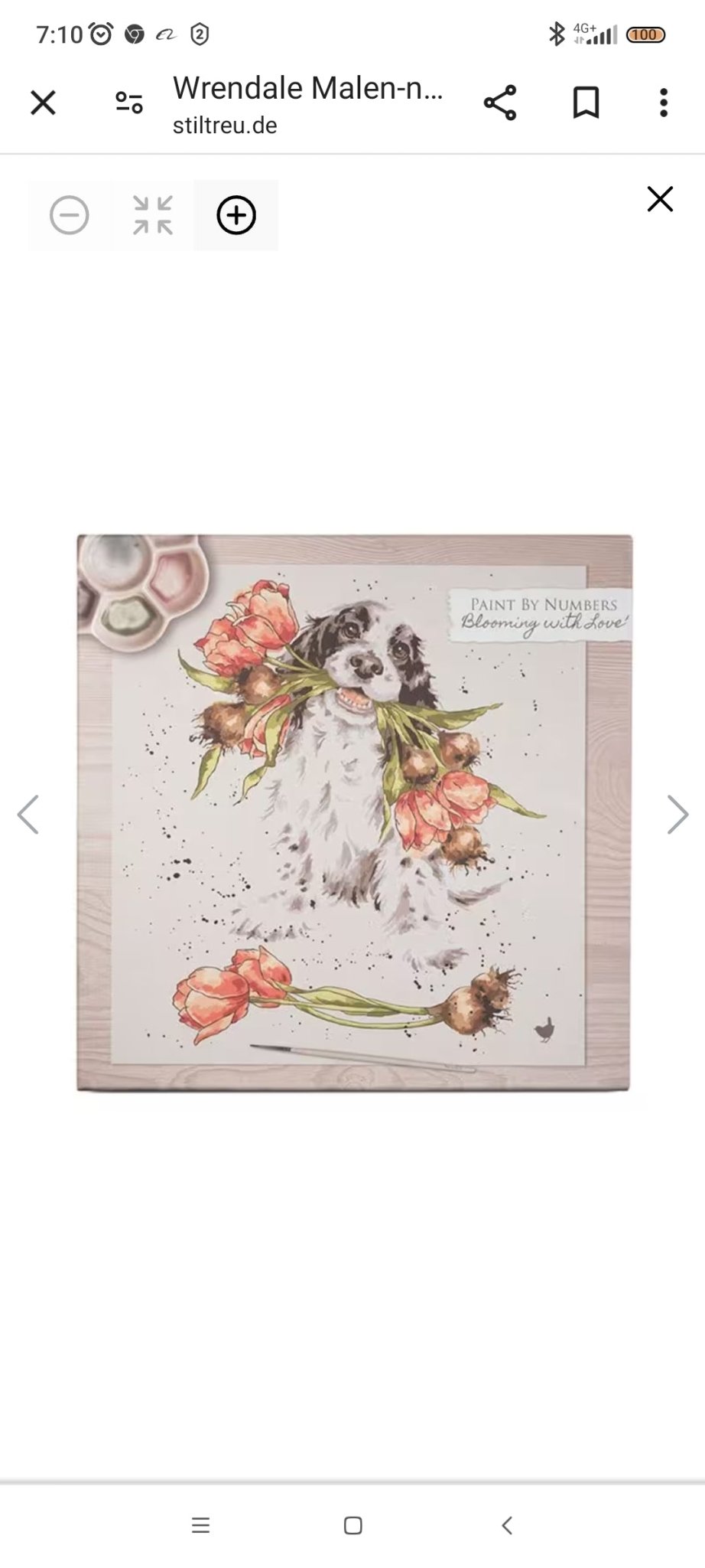 Wrendale Designs by Hannah Dale - Malen nach Zahlen Set - Shades of Home