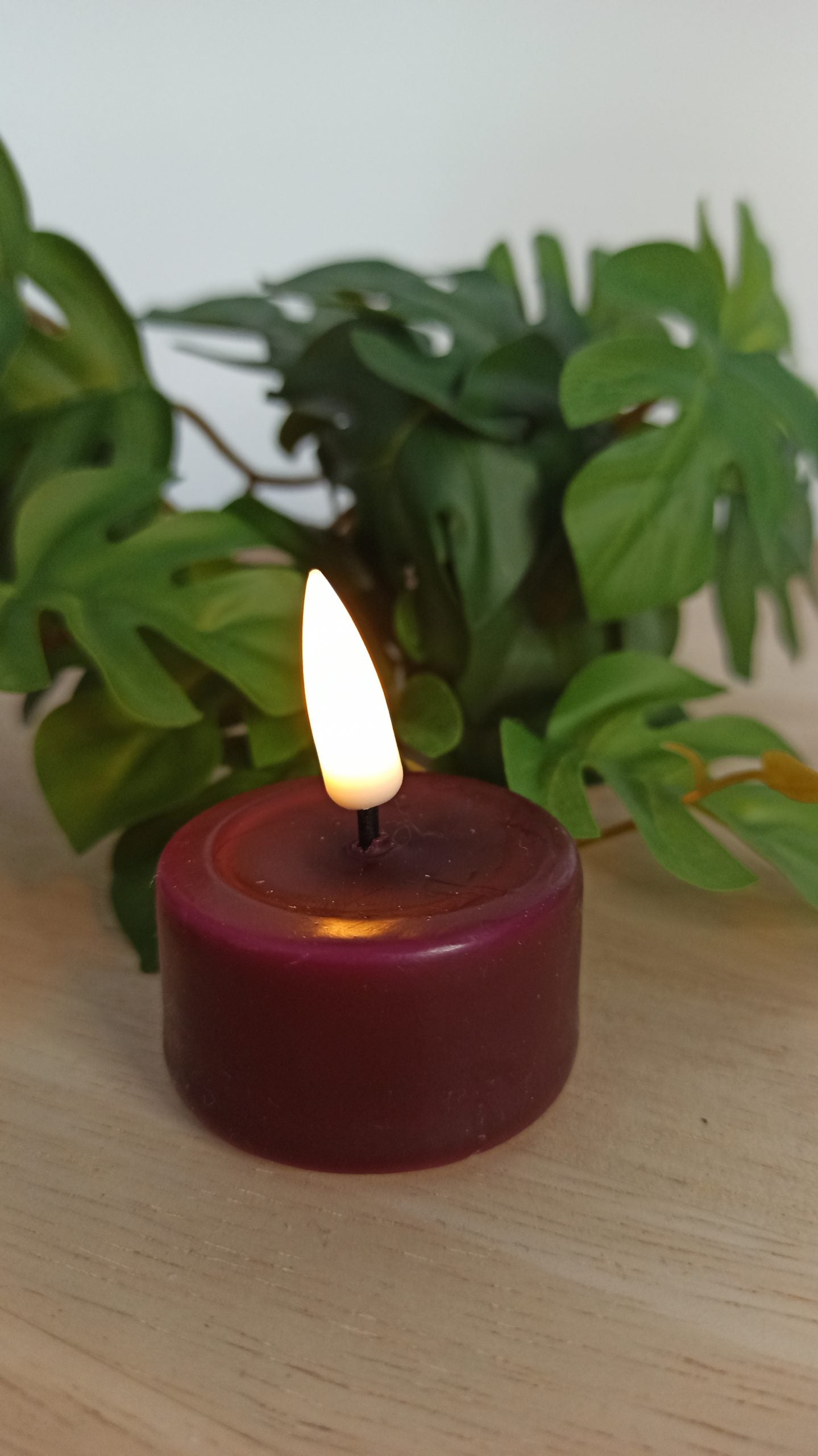 LED Teelicht Real Flame verschiedene Farben 2er Set