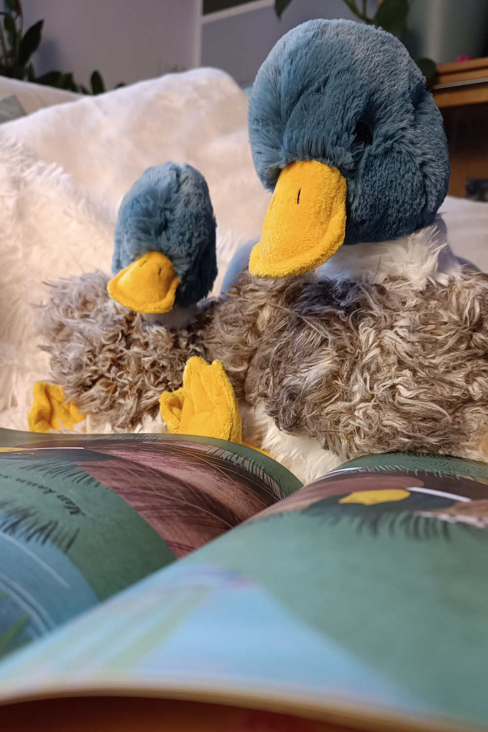 Kuscheltier WEBSTER ENTE ( Wrendale-Designs)