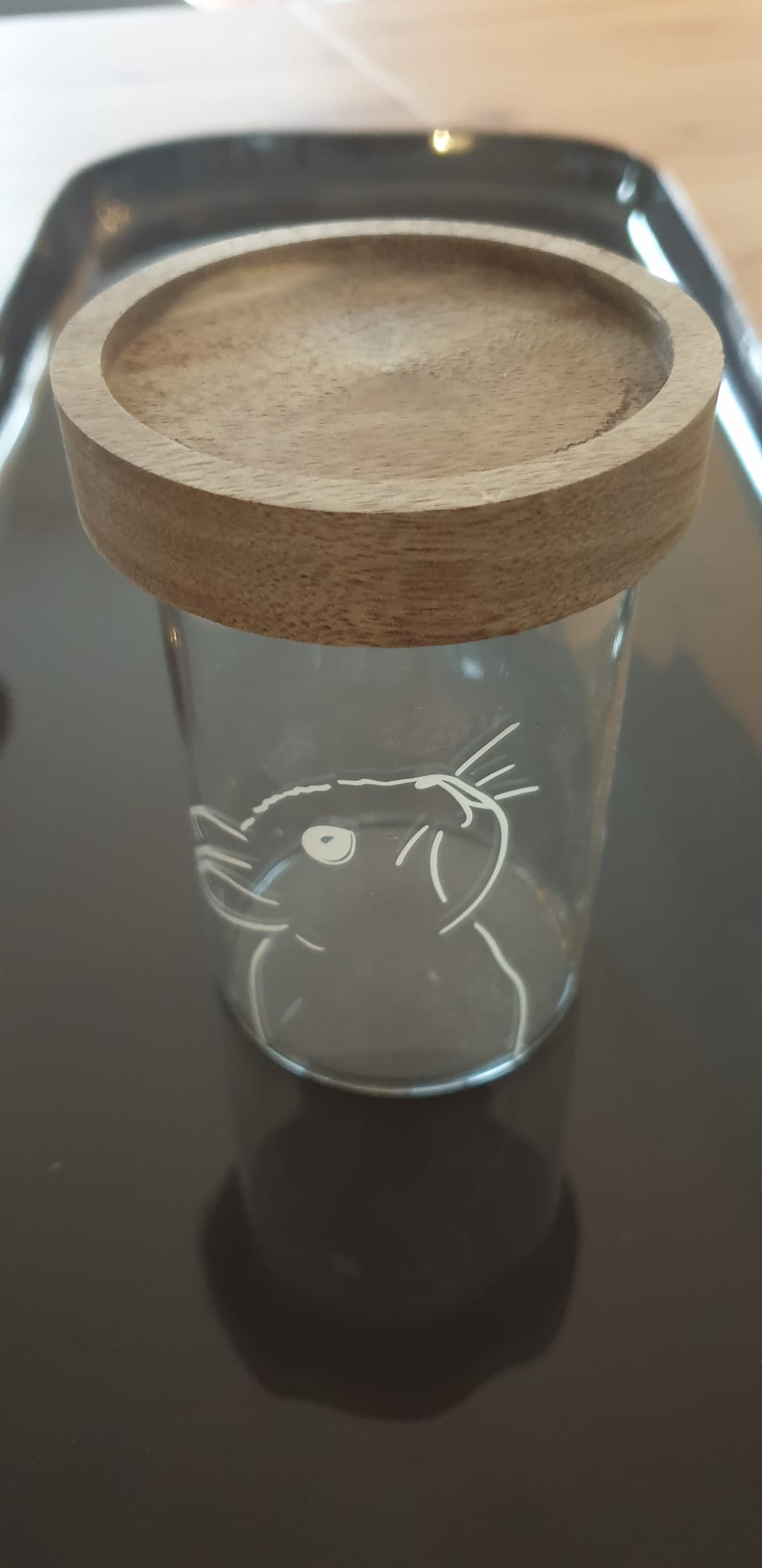 Mini Vorratsgläser im 6er Set Eulenschnitt