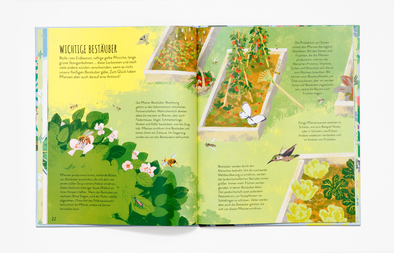 Sachbuch Pflanzen retten die Welt