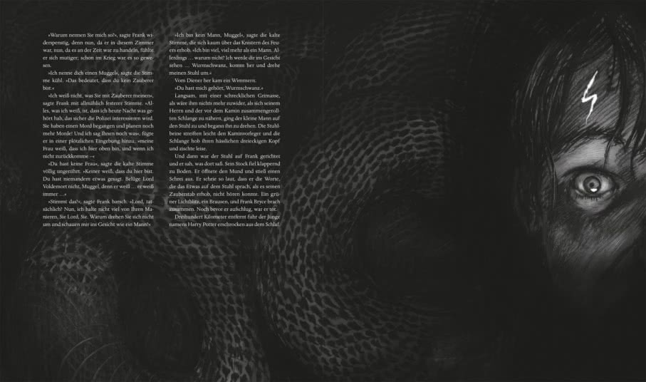 Harry Potter und der Feuerkelch (Schmuckausgabe)